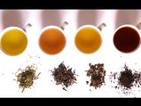 Types Of Tea To Enjoy This Season