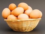 All You Need To Know About Eggs