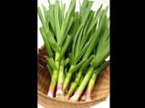 Health Benefits Of Green Garlic