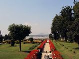 Top 10 Best Gardens Of India
