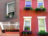 Window Container Gardens For Apartments