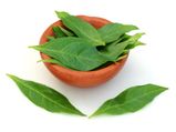 Health Benefits Of Henna Leaves