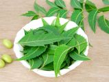 Health Benefits Of Neem Oil