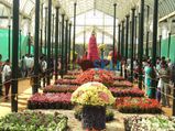 Lalbagh Flower Show 2014: Pics