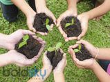 How To Make Soil Naturally Fertile