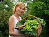 Four Steps To Grow Green Spinach At Home