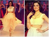 IIJW 2014: Divya Khosla Showstopper For PN Gadgil