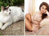 10 Reasons Why Women Are Like Cats