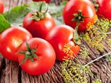 Tips To Achieve Higher Tomato Yields