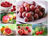 20 Best Fruits That Fight Diseases