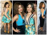 Vanity Fair 2015: Priyanka Chopra & Freida Pinto On The Red Carpet