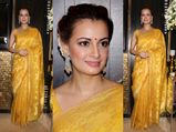 Dia Mirza: Elegant In Yellow