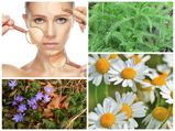 Skin Benefits With Wild Plants