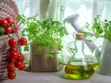 10 Kitchen Herbs To Treat Various Diseases