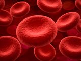 7 Foods To Increase Platelet Count