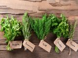Awesome Garden Herbs That Are Good For You