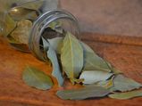 7 Health Benefits Of Bay Leaf