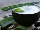 Aloe Vera : The Magic Potion For Your Body