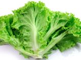 Hidden Beauty Benefits Of Lettuce
