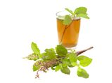 How Basil Green Tea Benefts Your Health