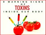 9 Warning Signs Of Toxins Inside Our Body
