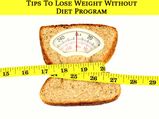 Tips To Lose Weight Without Diet Program