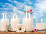 Foods That Are Alternate Sources To Milk