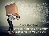 The Link Between Stress And Gut Bacteria