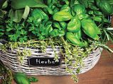 Fresh Herbs That Make You Healthier