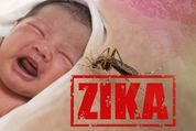 Seven Facts About Zika Virus