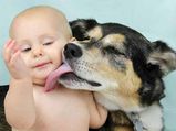 Parenting Tips When The Dog Meets The Baby