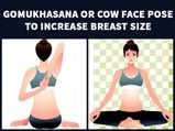 Gomukhasana Or Cow Face Pose To Increase Breast Size