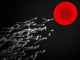 Why A Million Sperm Cells Are Released During Every Ejaculation?