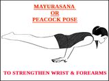 Mayurasana (Peacock Pose) To Strengthen Wrist & Forearms