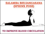 Salamba Bhujangasana (Sphinx Pose) To Improve Blood Circulation