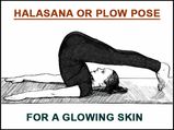 Halasana Or Plow Pose For A Glowing Skin