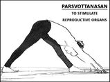 Parsvottanasana (Intense Side Stretch Pose) To Stimulate Reproductive Organs