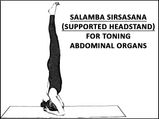Salamba Sirsasana (Supported Headstand) For Toning Abdominal Organs
