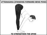 Uttanasana (Standing Forward Bend Pose) To Strengthen The Spine