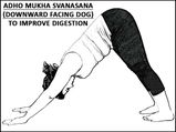Adho Mukha Svanasana (Downward Facing Dog) To Improve Digestion