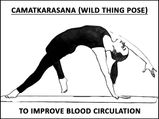 Camatkarasana (Wild Thing Pose) To Improve Blood Circulation