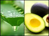 What Happens To Your Body When You Drink Avocado And Aloe Vera Juice?