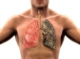 7 Common Things In Your House That Can Damage Your Lungs!