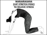 Marjariasana (Cat Stretch Pose) To Relieve Stress