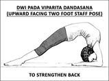 Dwi Pada Viparita Dandasana (Upward Facing Two Foot Staff Pose) To Strengthen Back