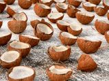 Is Dried Coconut Nutritious?