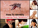 Chikungunya: How To Identify Chikungunya Fever Symptoms?