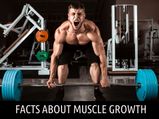 This Is How Muscles Grow