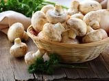 Are Mushrooms Healthy Foods?