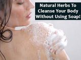 Natural Herbs To Cleanse Your Body Without Using Soap!